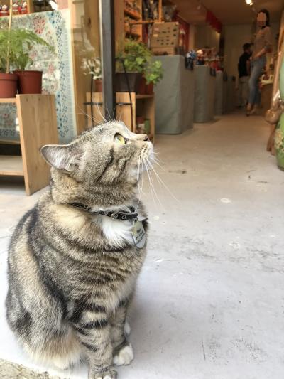 香港マカオ3泊4日・2日目 飲茶にトライ、そしてセントラルでお買い物充