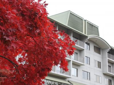 富士ビューホテルの紅葉はまだまだ見頃（11月8日・3-1）