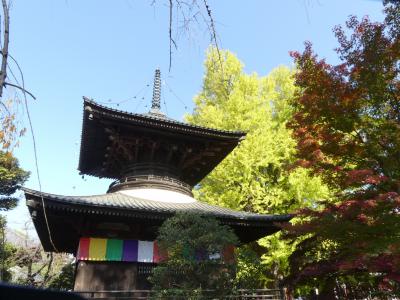 鑁阿寺の紅葉_2017_色づき始めました。（栃木県・足利市）