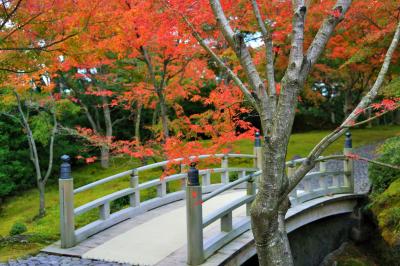 紅葉の箱根美術館