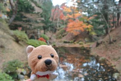 函館一人旅。観光よりもB級グルメを楽しむ冬。格安のホテルとバリウマのパンときれいな紅葉でした！