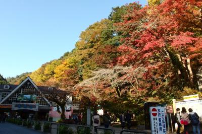 高尾山で半歩先に紅葉を楽しんできたお話 1