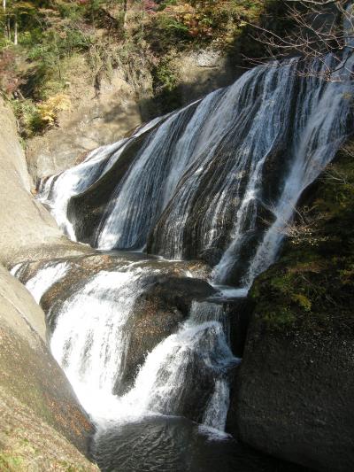 紅葉とイルミネーションを堪能　日帰りバスツアーの旅～袋田の滝・あしかがフラワーパーク