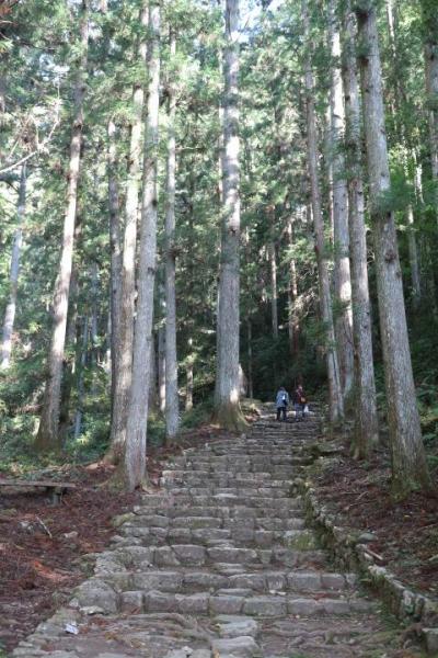 鳳来寺山で登山。１