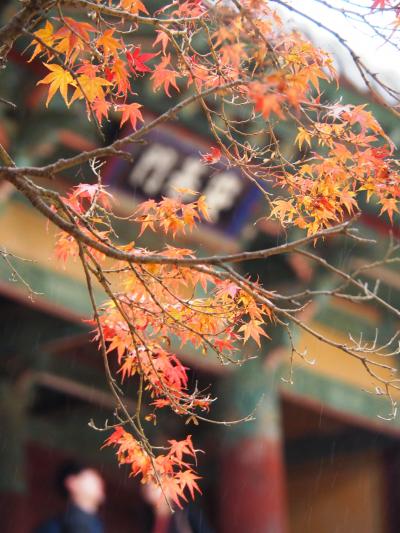 韓国/古都慶州で紅葉狩り＠ヒルトン慶州＆アーバンホテル(2017年11月)