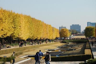 紅葉　　ＩＮ　　昭和記念公園