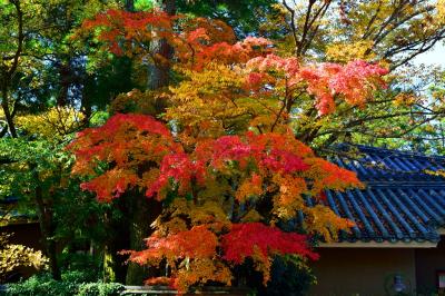 由布院の紅葉２０１７