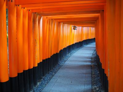 9年ぶりの京都