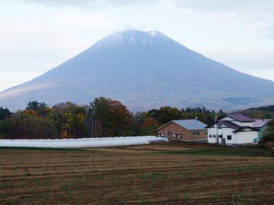 ニセコを起点にして羊蹄山周辺を行きます！