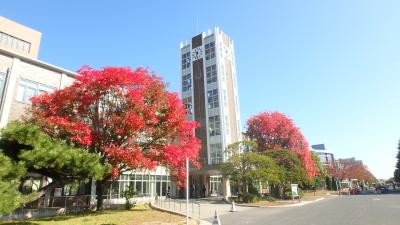 2017年版・岡山大学の紅葉（位置情報つき）