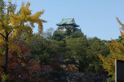 342 紅葉の大阪城公園