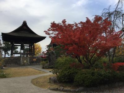 新そばを食べに、夜行で紅葉美しい長野へ