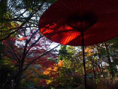 秋の京都散策～常寂光寺・二尊院・宝筐院・北野天満宮・仁和寺・祇園～