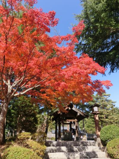 2017秋・八ヶ岳で星空観賞の旅-2日目【身曽岐神社・野辺山宇宙電波観測所】