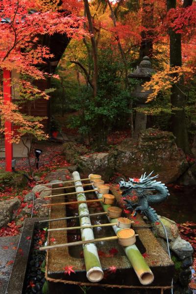 京都　紅葉めぐり～鍬山神社、矢田天満宮