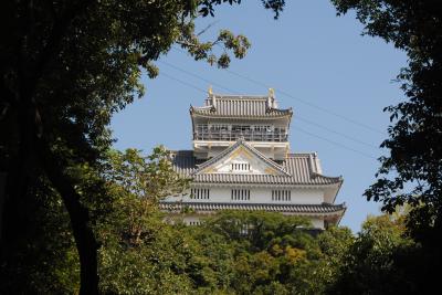 岐阜へ！　その2　ホテルで借りたレンタサイクルで岐阜公園へ。