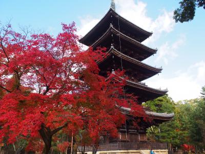 秋の京都散策　Day 2～常寂光寺・二尊院・宝筐院・北野天満宮・仁和寺・祇園～