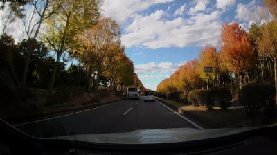 愛車の車窓から～ぶらりドライブ　つくば編～