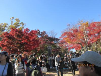 高尾の紅葉。