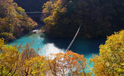 トロッコ列車で紅葉狩り