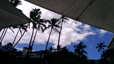 寝てるだけのホノルル