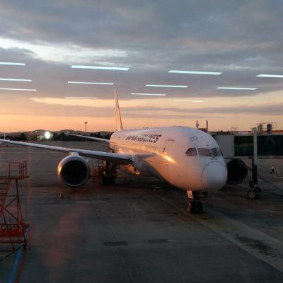 ソウル一人旅(映画鑑賞)