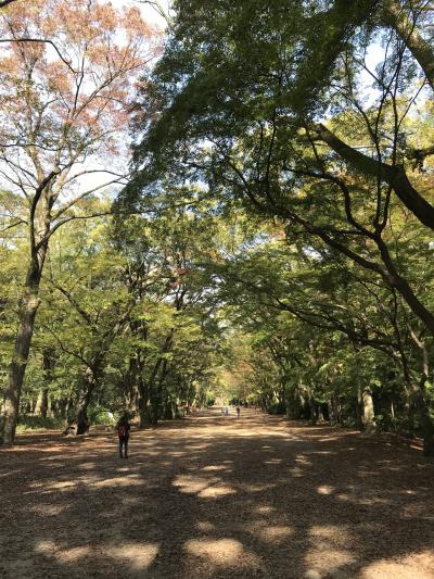 気分転換 in 京都 ～下鴨神社とみたらしだんご～