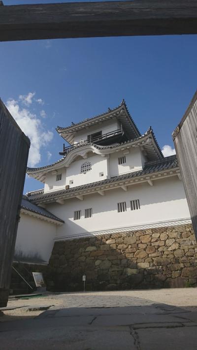 2泊3日 静岡の旅（掛川城編）