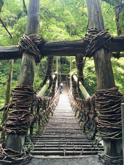 恋も芽生える？つり橋効果抜群のかずら橋と秘境の妖怪村