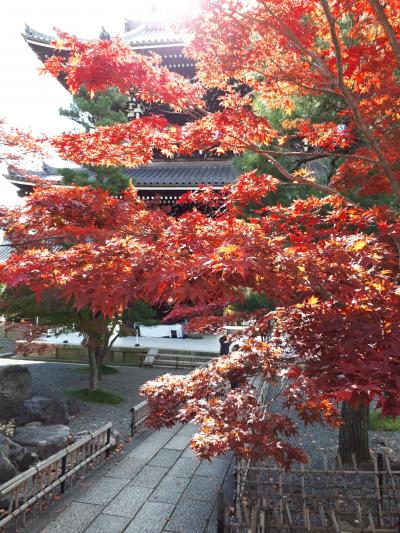 紅葉の京都　駆け足ひとり旅