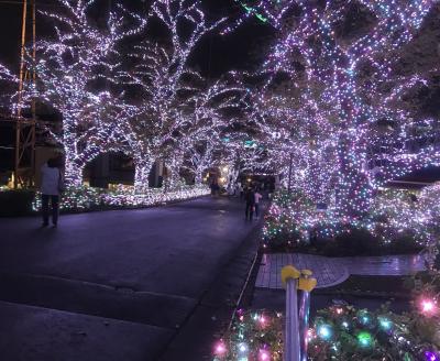 家族で夜のよみうりランド&#128077;