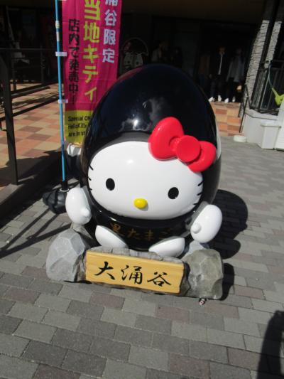 富士山といっしょに箱根旅行③ 大涌谷~遊覧船に乗ってプリンス箱根芦ノ湖~九頭竜神社