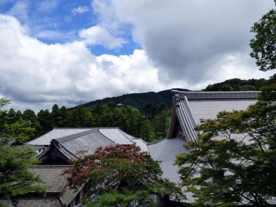 １１．臨済宗のお寺を巡る浜名湖１泊　方広寺その３　らかん乃庭　上天台舎利殿　亀背橋