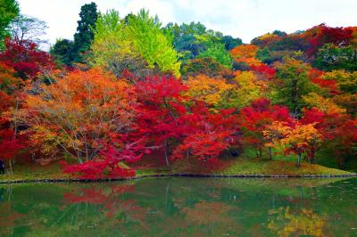 用作公園の紅葉2017