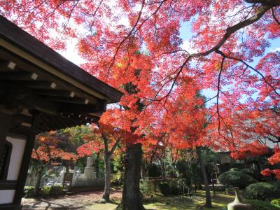 紅葉の多福寺を訪問する