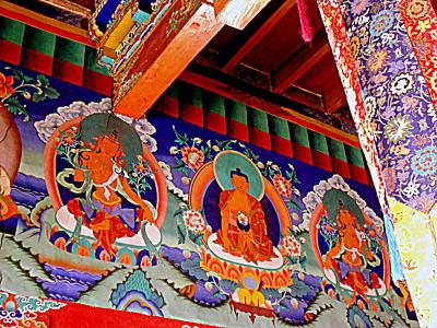 チベット仏教を訪ねて、ヒマラヤ／　レー・ラダック　２