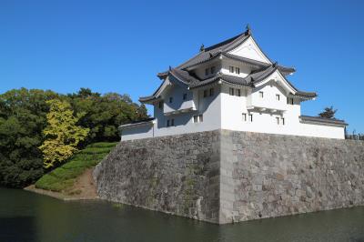 駿府浪漫バスに乗って静岡浅間神社～賤機山公園～駿府城公園をウォーキング。静岡おでんも♪