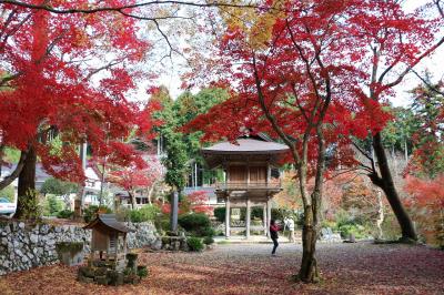 丹波・篠山の紅葉巡り