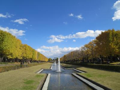 週末散歩　昭和記念公園の紅葉散策