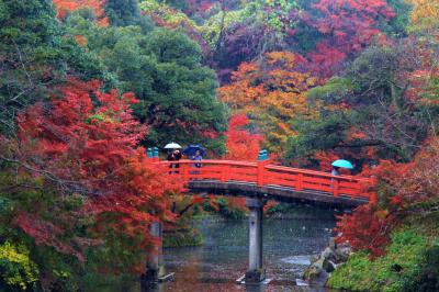 錦秋の北陸城めぐり②高岡古城公園