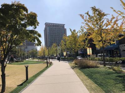 3年ぶりのソウル④