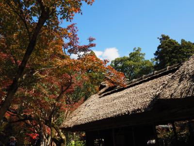 世界文化遺産宗像大社・神宿る島を望む筑前大島と九年庵秋の一般公開２日間、その１:九年庵