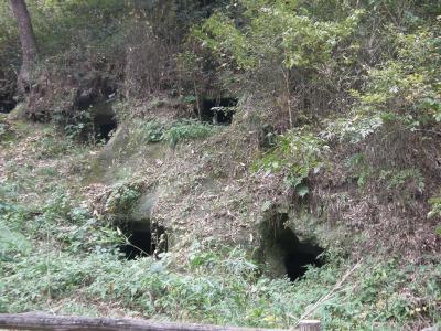 比企郡吉見町の比企丘陵を紅葉と遺跡を求めて歩く・・・③黒岩横穴墓群