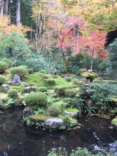 秋の京都へ♡♡ 紅葉の三千院 二条城のナイトアクアリウム♪