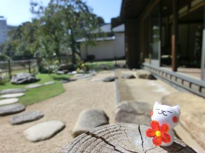 肥後細川庭園と椿山荘庭園♪～２０１７～