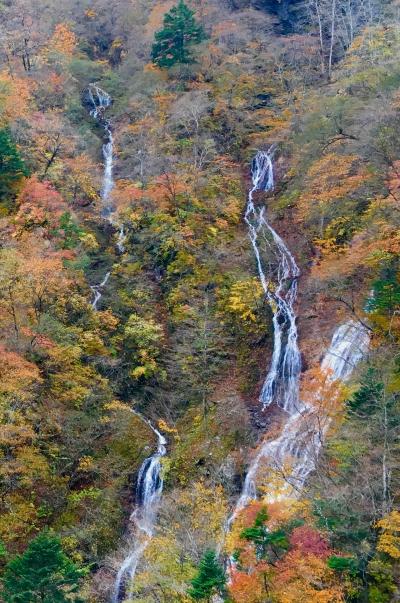 紅葉の日光へ!日光東照宮と華厳の滝といろは坂!