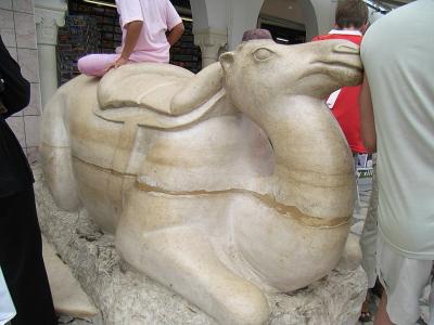 チュニジア最高!(2) ~スース チュニジアの九州男児に出会う