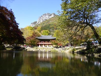 2017秋　韓国 - 2　紅葉のはしご　ペギャンサ（白羊寺）へ