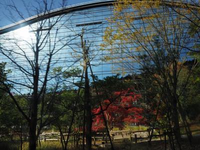 世界文化遺産宗像大社・神宿る島を望む筑前大島と九年庵秋の一般公開２日間、その２:九州国立博物館