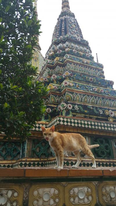 タイ旅行(3日目4日目)